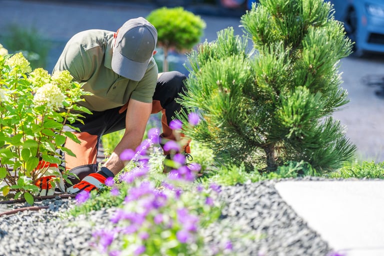 Giardiniere professionista si prende cura di piante fiorite e arbusti in giardino
