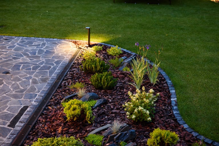 Giardino progettato con piante diverse e illuminazione creativa