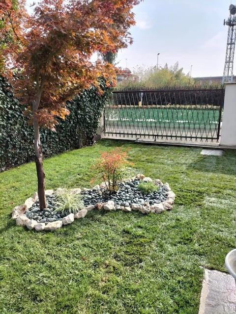 Residential backyard with green lawn, small decorative tree with red foliage surrounded by stone border, ivy-covered wall, and metal fence