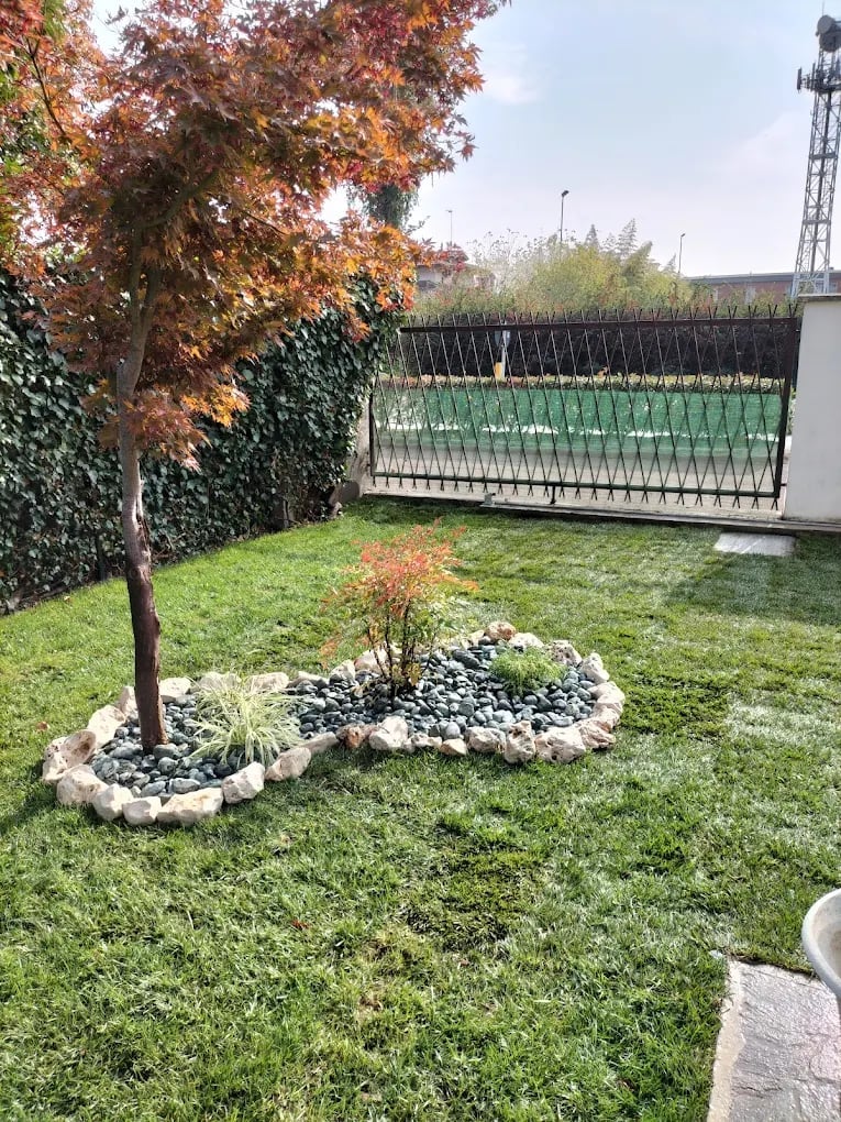 Residential backyard with green lawn, small decorative tree with red foliage surrounded by stone border, ivy-covered wall, and metal fence